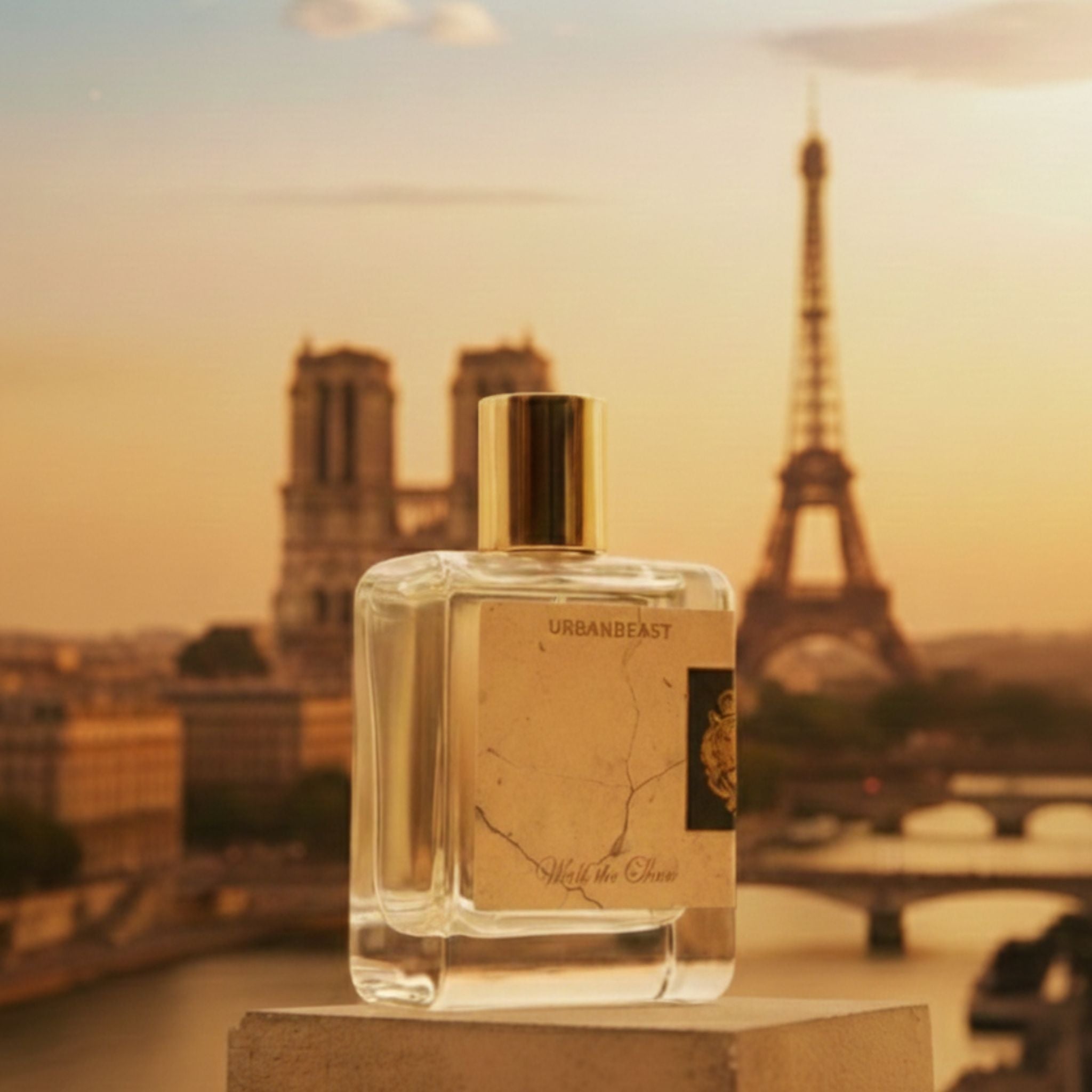 Grasse vs. The World: Why a Perfume's Place of Creation Matters as Much as Its Notes